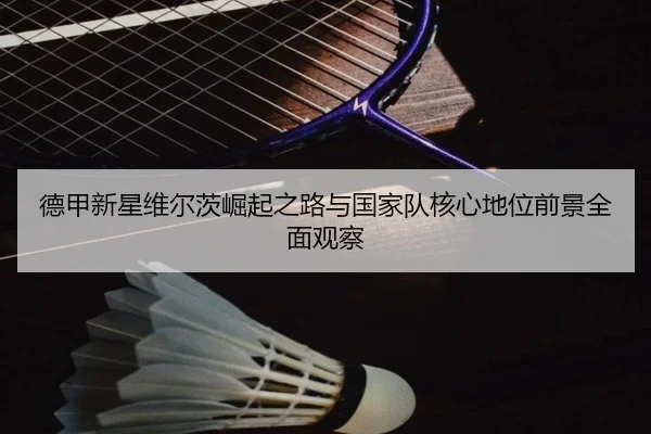 德甲新星维尔茨崛起之路与国家队核心地位前景全面观察